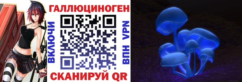 где продают наркотики  Каспийск  Псилоцибиновые грибы ЛСД 