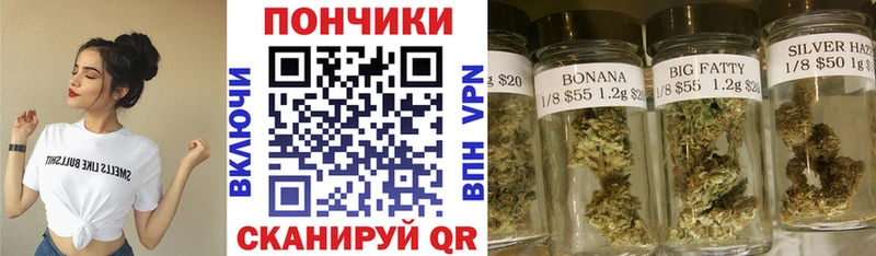 Каннабис OG Kush Каспийск